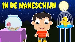 Nederlandse kinderliedjes | In de maneschijn + 29 min.
