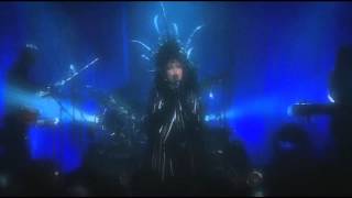 siouxsie into a swan live