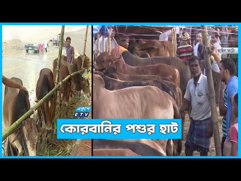 রাজধানীতে ২১টি পশুর হাট