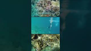Hurghada, Egypt - top activities #hurghada #egypt