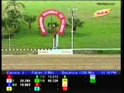 Resumen Miercoles, 24 de Julio de 2013 - Valencia