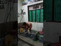 Deadlift Workout Powerlifting Motivation Sports Viral Tarnding Baba Health Club