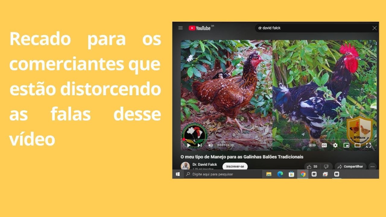 Respondendo aos Negociantes de aves que estão criticando o meu vídeo
