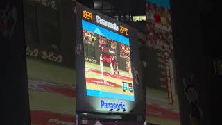 【恭喜台灣冠軍】台湾優勝おめでとう #premier12 #プレミア12 台灣VS日本 冠軍賽@新北市政府 新北耶誕城 20241124 #cpbl #中華隊 #teamtaiwan #台湾チア