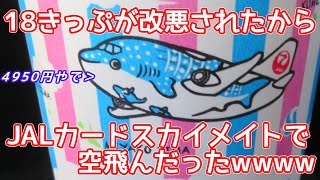 18きっぷが改悪されたからJALカードスカイメイトで空飛んだったwwww【南国編1】