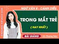 Trong mắt trẻ Ngữ văn lớp 8 Cánh diều