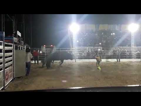 Rodeio em vila rica Mt