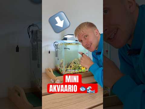 Rakensin MINIAKVAARION 😍🐟