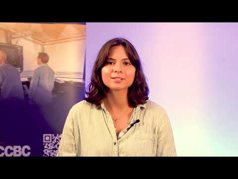 Aviation Pathway: Professional Pilot Program