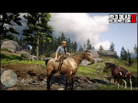 Domando Cavalo Selvagem Standardbred Americano Gateado - RED DEAD REDEMPTION 2