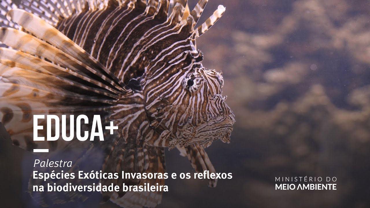 Educa+ | Palestra | Espécies exóticas invasoras e os reflexos na biodiversidade
