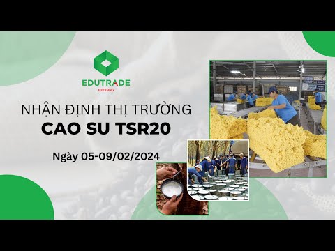 Nhận Định Thị Trường - Cao su TSR20 (Ngày 05-09/02/2024)