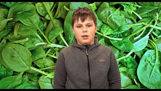 Cover art for maso a špenátek