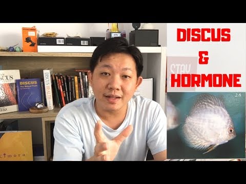 Discus and Hormone, What is the effect?