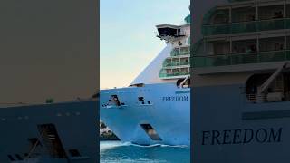 Freedom of the Seas 🛳️ #royalcaribbean #travel #cruiseship #cruise #vacation #shorts #travelshorts
