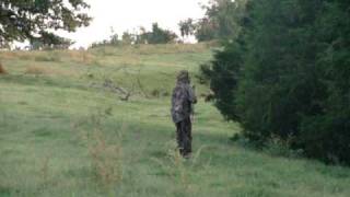 preview picture of video 'bow hunting coyote'