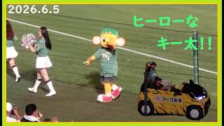 [2026.6.5] 普段とは異なるヒーローな衣装に身を包んで今季交流戦ホーム初勝利を飾った、試合終了後のキー太！ ＠阪神甲子園球場～一塁アルプス視点～【阪神タイガース】