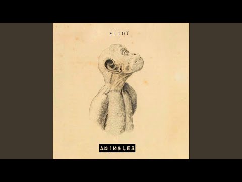 Festa Major - Eliot