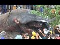 Unknown Monster Dug Up In Cambodia? 