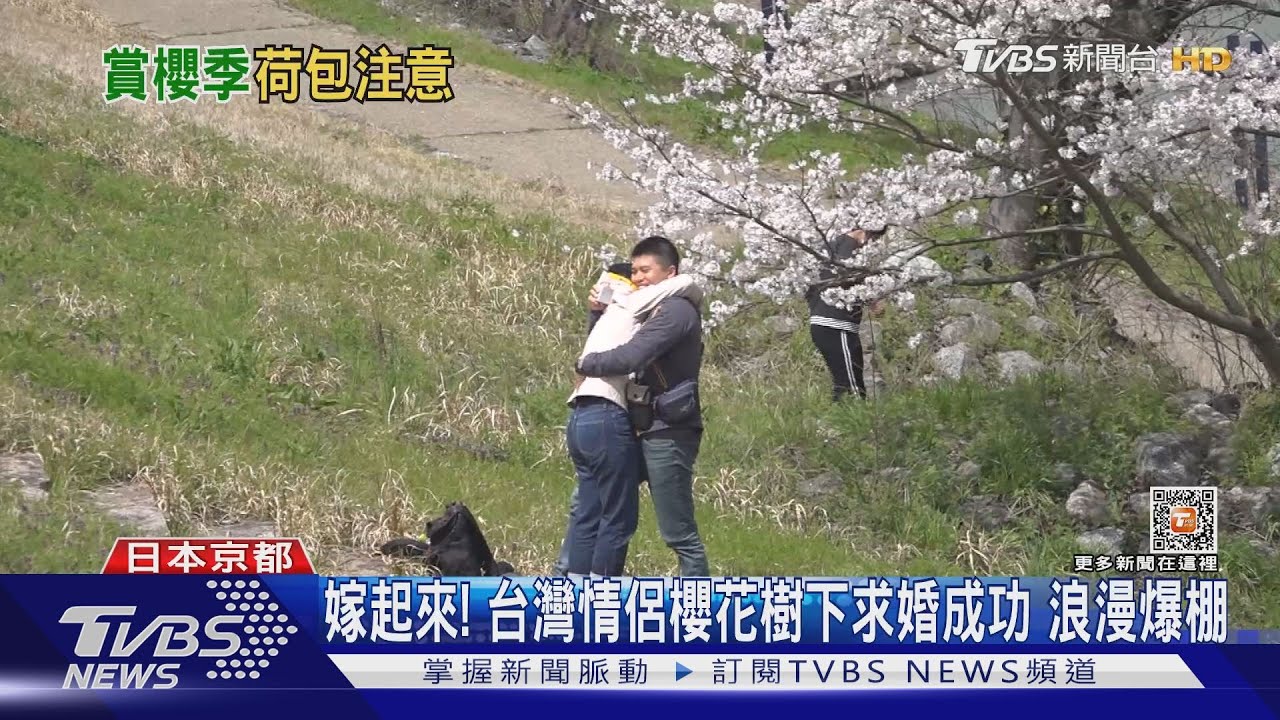 美爆!嵐山小火車賞櫻吹雪 保津川整排櫻花樹