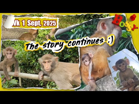 Back from Nepal -The story continues