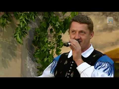 Ansambel Dolenjski zvoki - Prijateljem