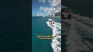 Spend a day on ATV’s in Moorea, French Polynesia #moorea #tahiti #borabora