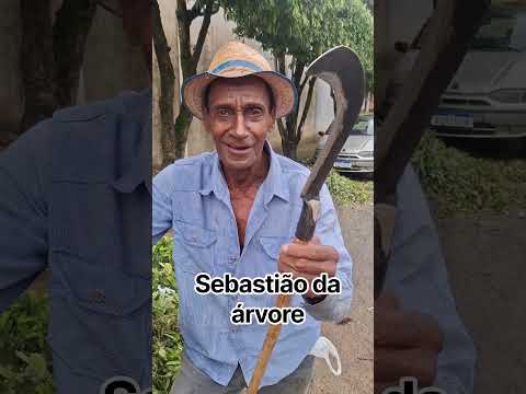 Sebastião da árvore embelezando a cidade com podas lindas em Leopoldina mg 23/09/26