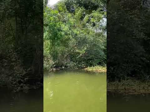Río Cazones, Cazones de Herrera Veracruz