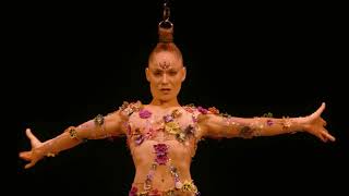 James Newton Howard : Fantastic Beasts, Blind Pig