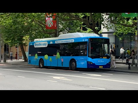 Transit Systems NSW m/o 8363: BYD D9RA Gemilang Eco City Bus