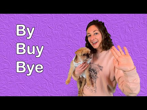 By, Buy, and Bye Lesson on Homophones for Kids