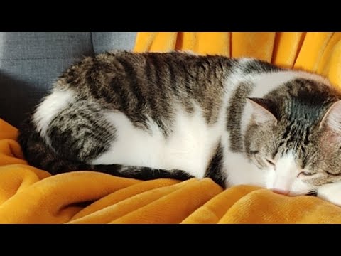 Not Morning, 2020-02-23