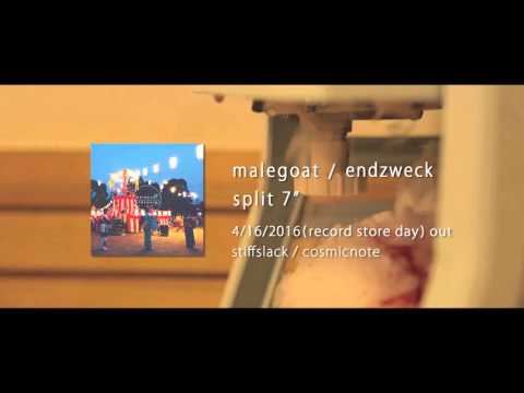 malegoat / endzweck split 7” trailer