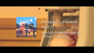 malegoat / endzweck split 7” trailer
