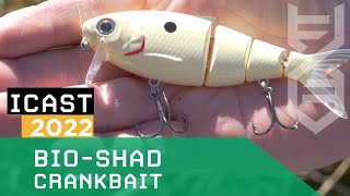 Video thumbnail 1