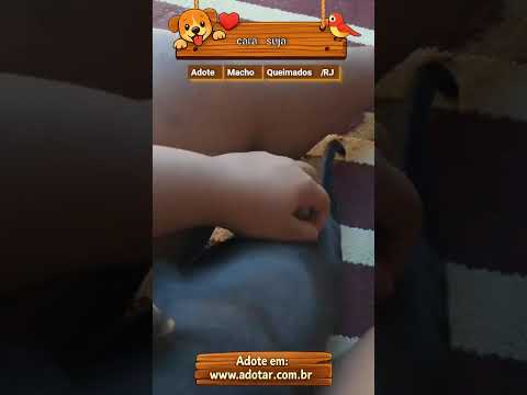 Vídeo de cara suja