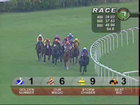 20100220 SG KRANJI STAKES C 1400M (LC) Golden Number (S Ruzaini)
