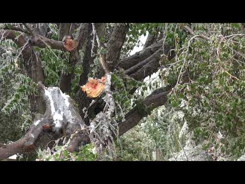 10-27-2020 Oklahoma City, OK - Ice Storm Causes Major Damage, Clean Up and Car Crashes