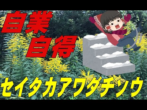 ゆっくり解説危険植物 Mp3 Downloads ゆっくり解説危険植物 Mp3 Downloads