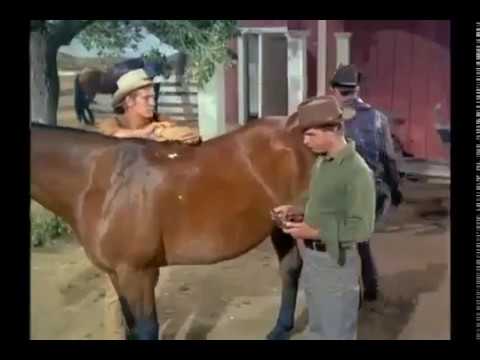 The Big Valley - S1E11 - The Way to Kill a Killer - Western Series Movies