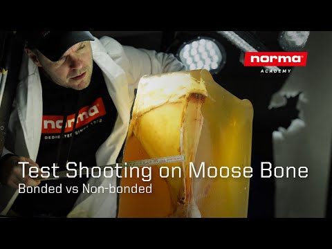 Test Shooting on Moose Bone - Bonded vs Non-bonded Bullet