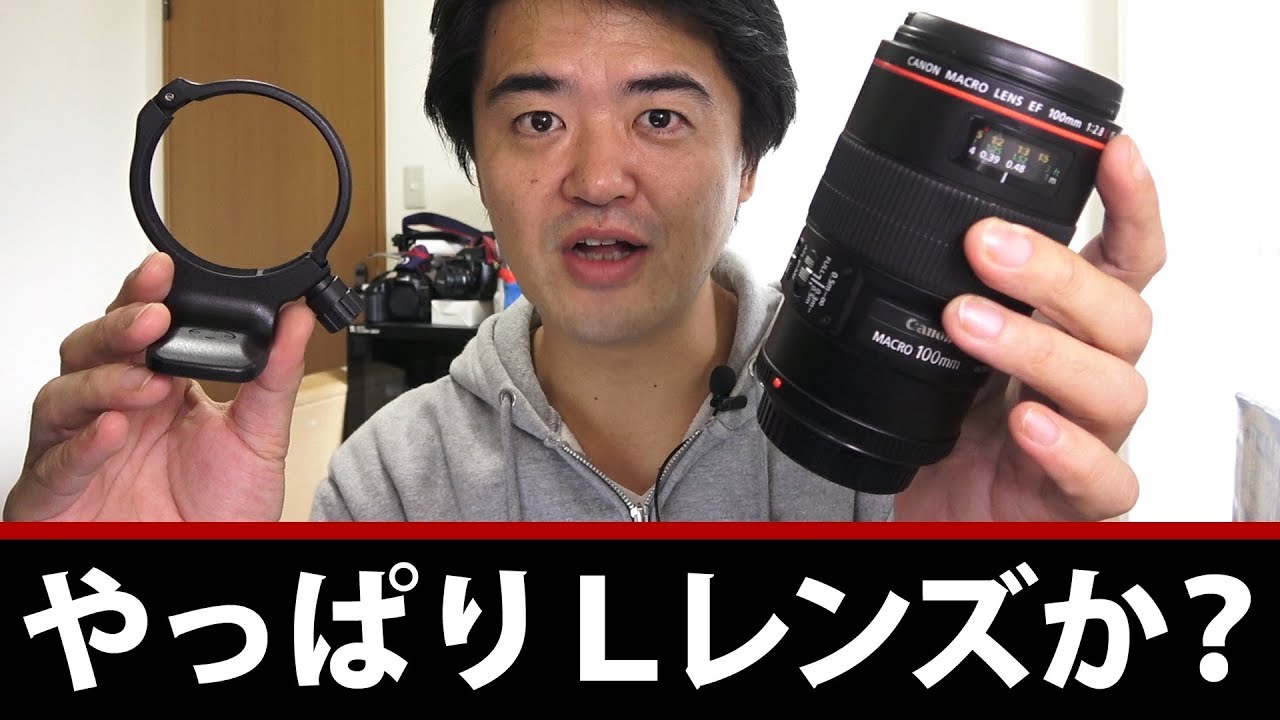 このレンズを買う理由！Canon EF100mm F2.8Lマクロ IS USM このボケ味！うざい年輪ボケ見当たらず！風景撮影などにも良い中望遠マクロレンズ