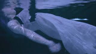 Astrid S - Bloodstream (Visualizer)