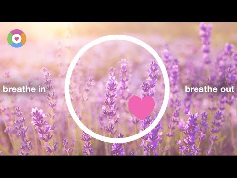 Expecting: positive pregnancy with affirmations Video
