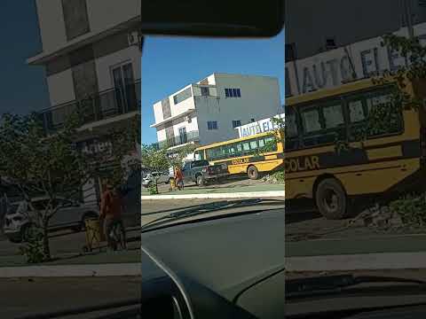 Mato verde MG