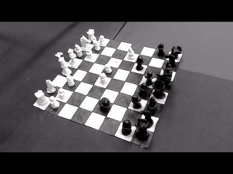 stop motion chess clay