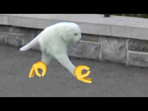 download lagu mp3 mp4 When U Walking Cat, download lagu When U Walking Cat gratis, unduh video klip When U Walking Cat