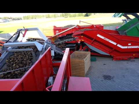 Automatyczny napełniacz skrzyniopalet TG Grisnich i kosz przyjęciowy Grimme RH 24-60