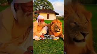 Download lagu This is what grandfather said to his beloved lion #shortvideo mp3 Download lagu This is what grandfather said to his beloved lion #shortvideo mp3